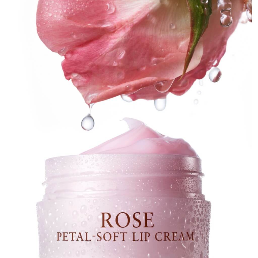 Fresh Rose Petal-Soft Lip Cream 10 g  ลิปเนื้อครีมมี่เนียนนุ่มเพิ่มคามชุ่มชื้นได้ล้ำลึก ยาวนานสูงสุด 24 ชั่วโมง มาพร้อมส่วนผสมจาก rose flower oil ที่ช่วยให้เรียกปากนุ่มเนียนลดความแห้งกร้านและบำรุงริมฝีปากอย่างล้ำลึก เพื่อริมฝีปากอ่อนนุ่มชุ่มชื้นดุจกลีบกุหลาบ